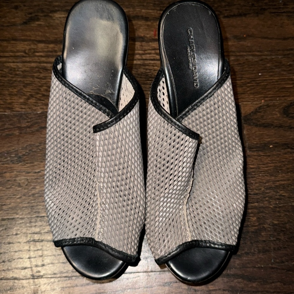 Size 8 Charles David Heels